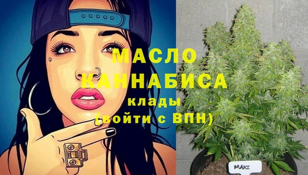 дурь Гусев
