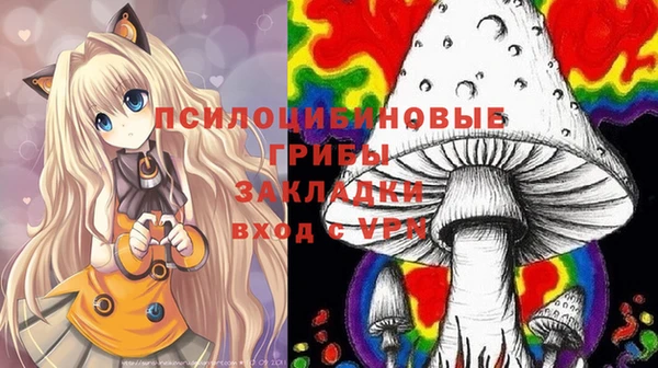 соль ск Алексеевка