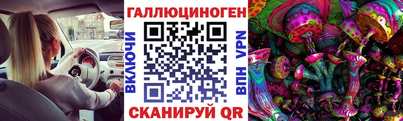Галлюциногенные грибы ЛСД  продажа наркотиков  Тогучин 